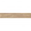 Tanzania Almond