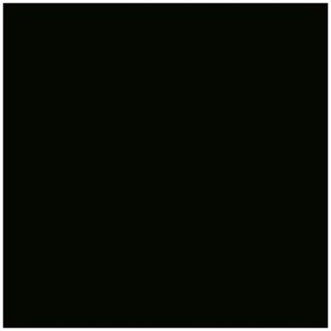 Micro Black