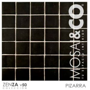 Pizarra V50