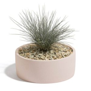 Maceta Altano