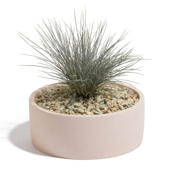 Maceta Altano