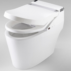 Sanitario Inteligente Funzionale