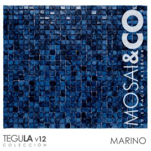 V12  Marino - Smalti