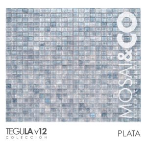 V12  Plata Lumina con Acabado Metálico