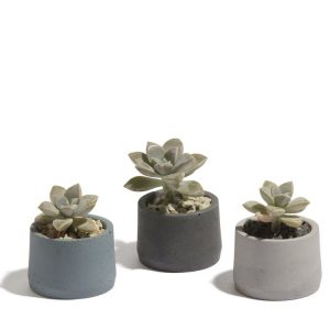 Maceta Breva <br/>(Set de 3)