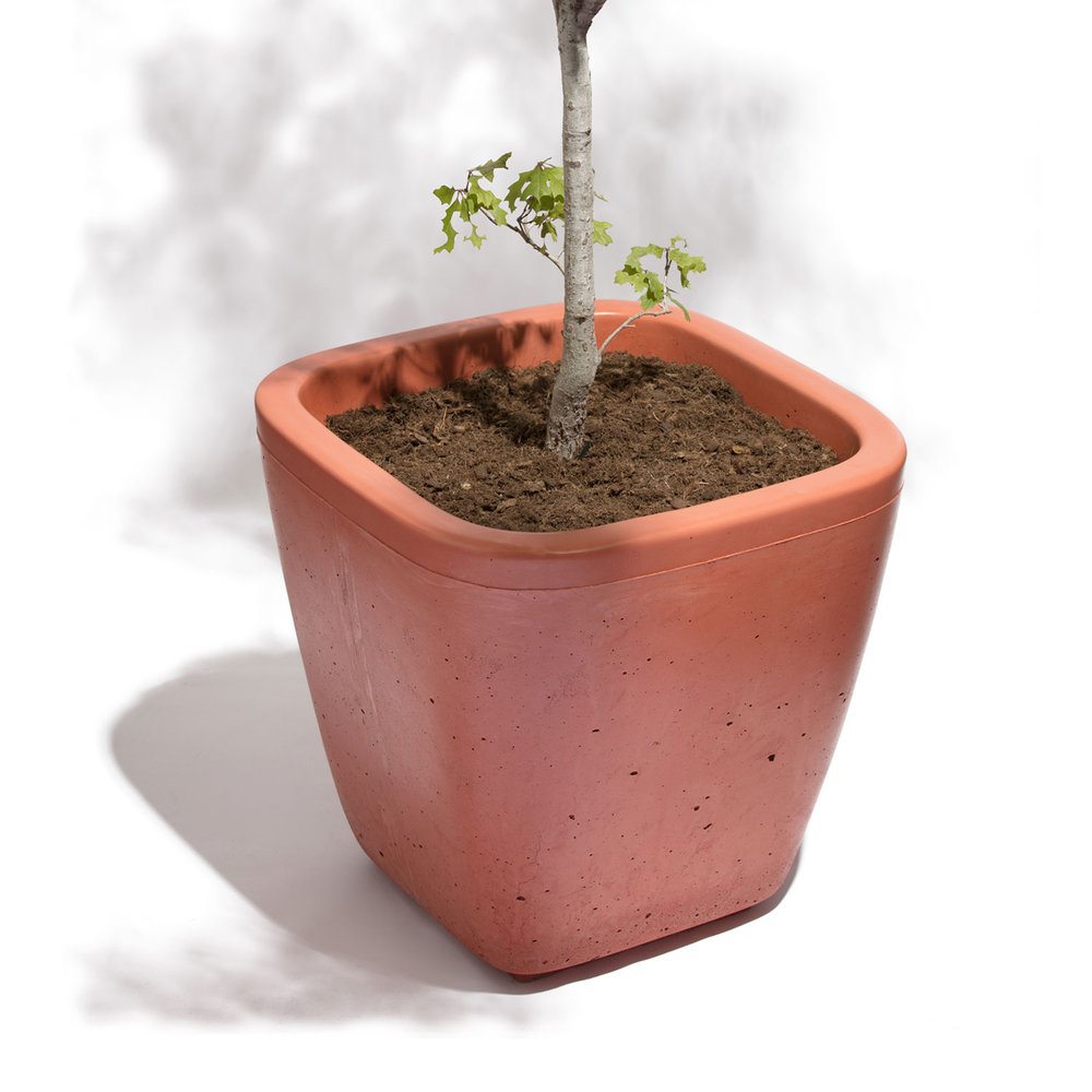 Maceta Terral - Image 2